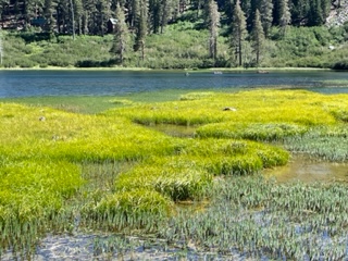 IMG_6027.jpg