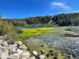 IMG_6026.jpg