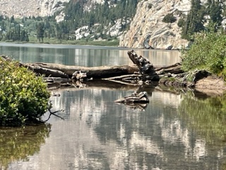 IMG_6117.jpg