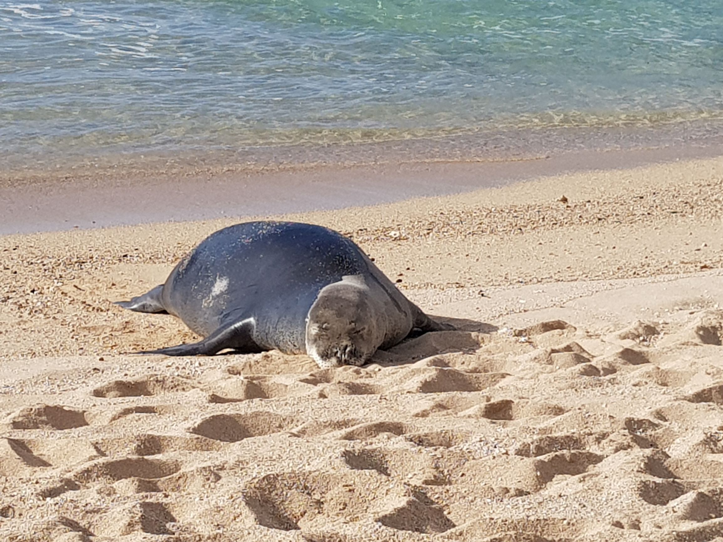 20200126_160304 (1).jpg