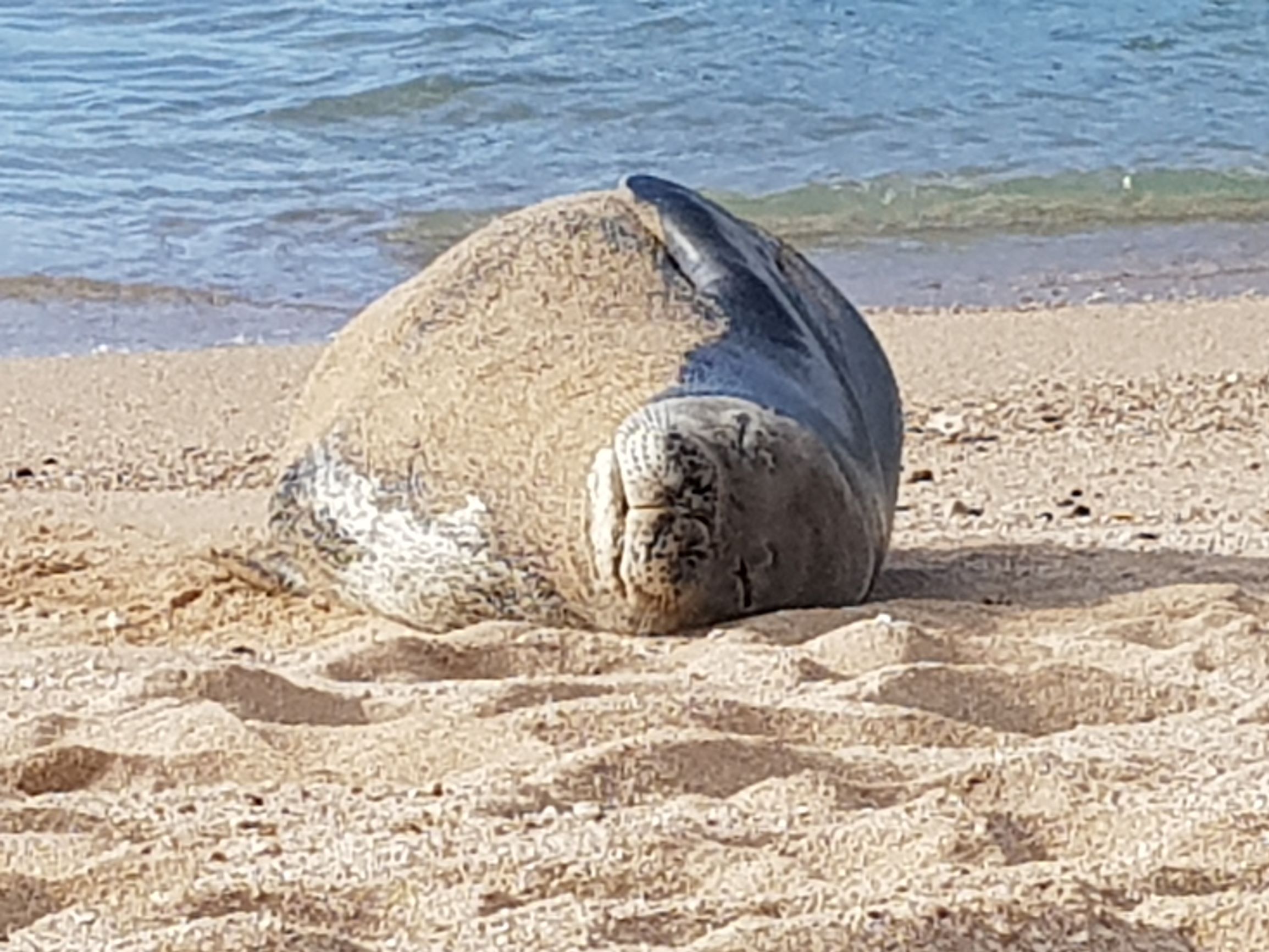 20200126_160429 (1).jpg